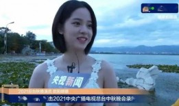 娱乐吃瓜酱流量,揭秘流量背后的秘密与真相